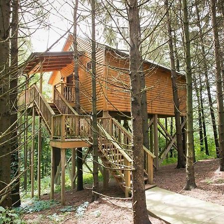 מילסבורג Whispering Pines Treehouse By Amish Country Lodging מראה חיצוני תמונה