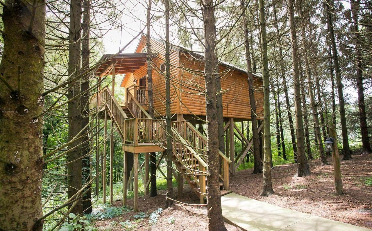 מילסבורג Whispering Pines Treehouse By Amish Country Lodging מראה חיצוני תמונה